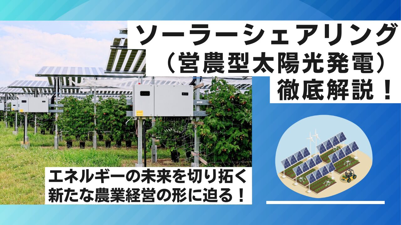太陽出品 必見】ソーラーシェアリング（営農型太陽光発電）とは？メリットや